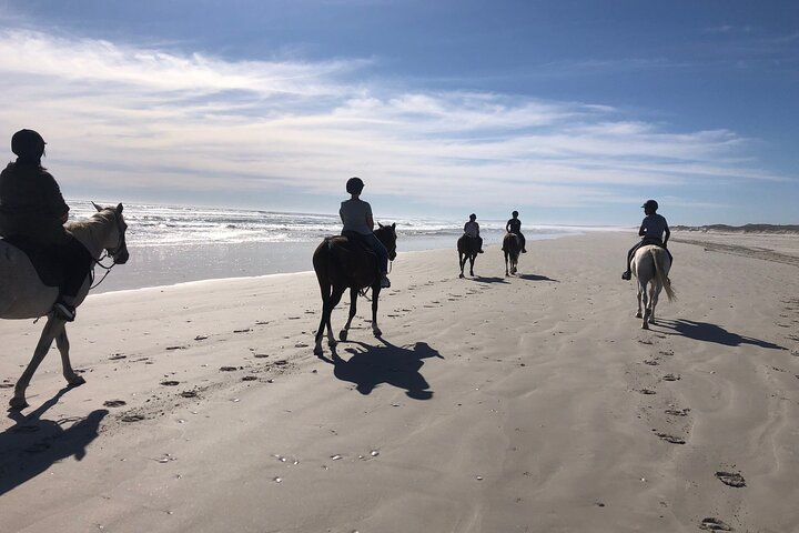 Horse safari & beach ride Western Cape - Photo 1 of 7